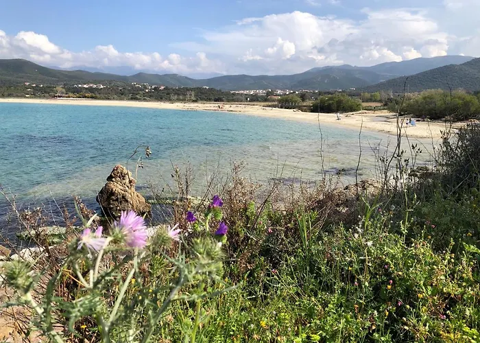 à 900 M De La De Lozari Belgodère